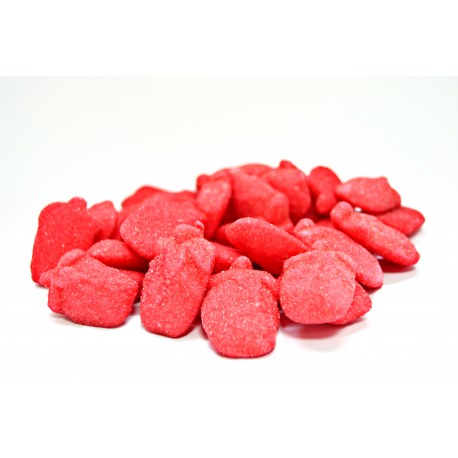 FRAISE FOUETTE SUCREE 100GRS