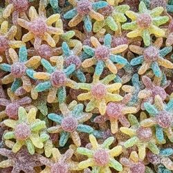 Poulpes Acidulés 100g